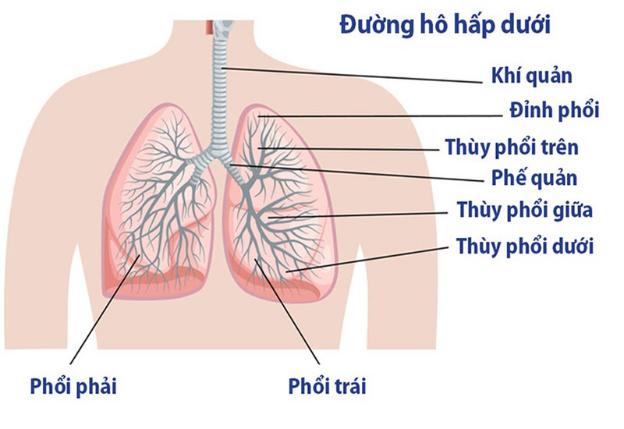 6. Khi nào cần đi khám bác sĩ?