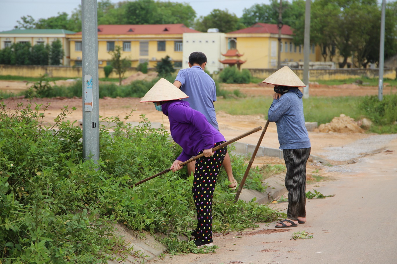 Phòng chống bệnh sốt xuất huyết